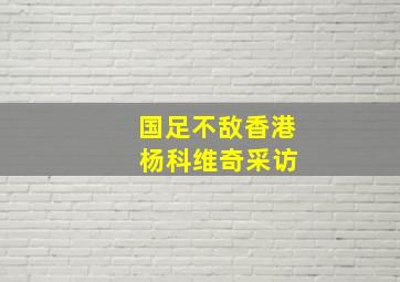 国足不敌香港 杨科维奇采访